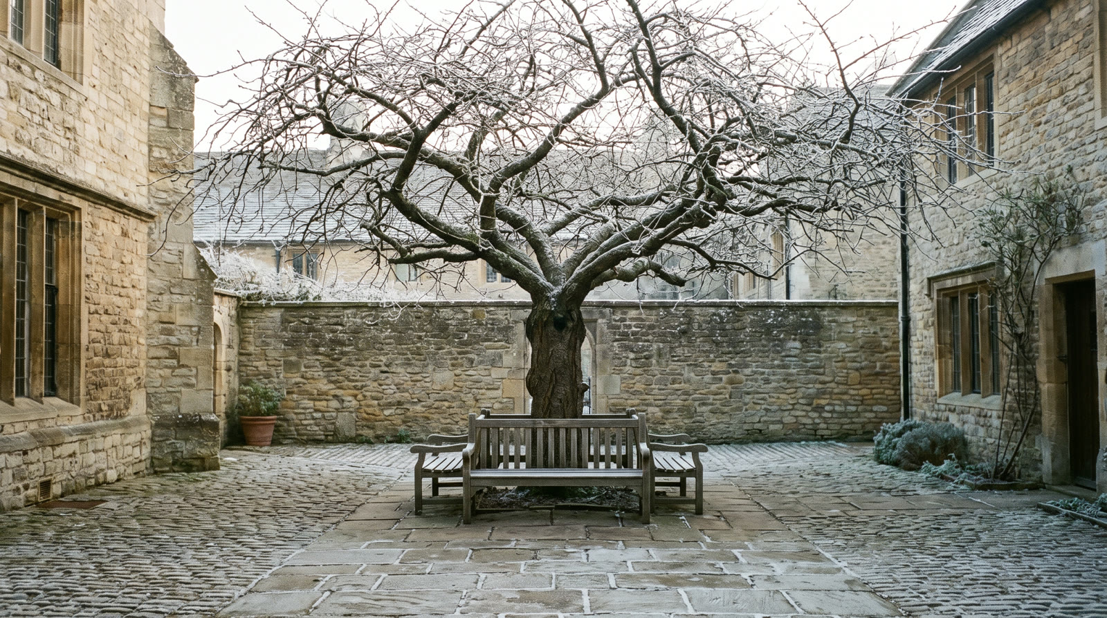 A small stone courtyard with a bare winter cherry tree above a wooden bench, light frost on the paving stones.