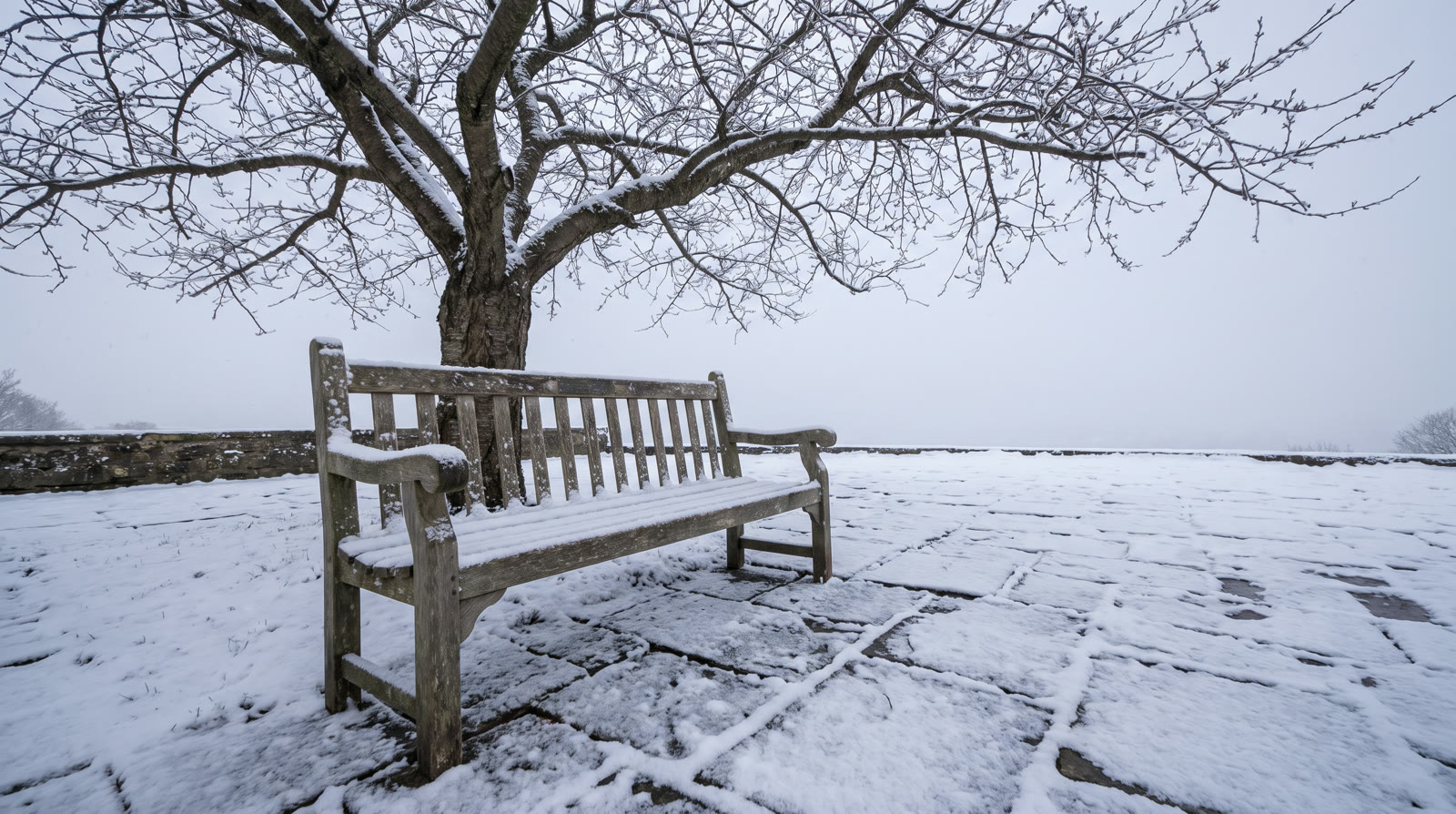 A wooden bench under a bare cherry tree, covered in snow