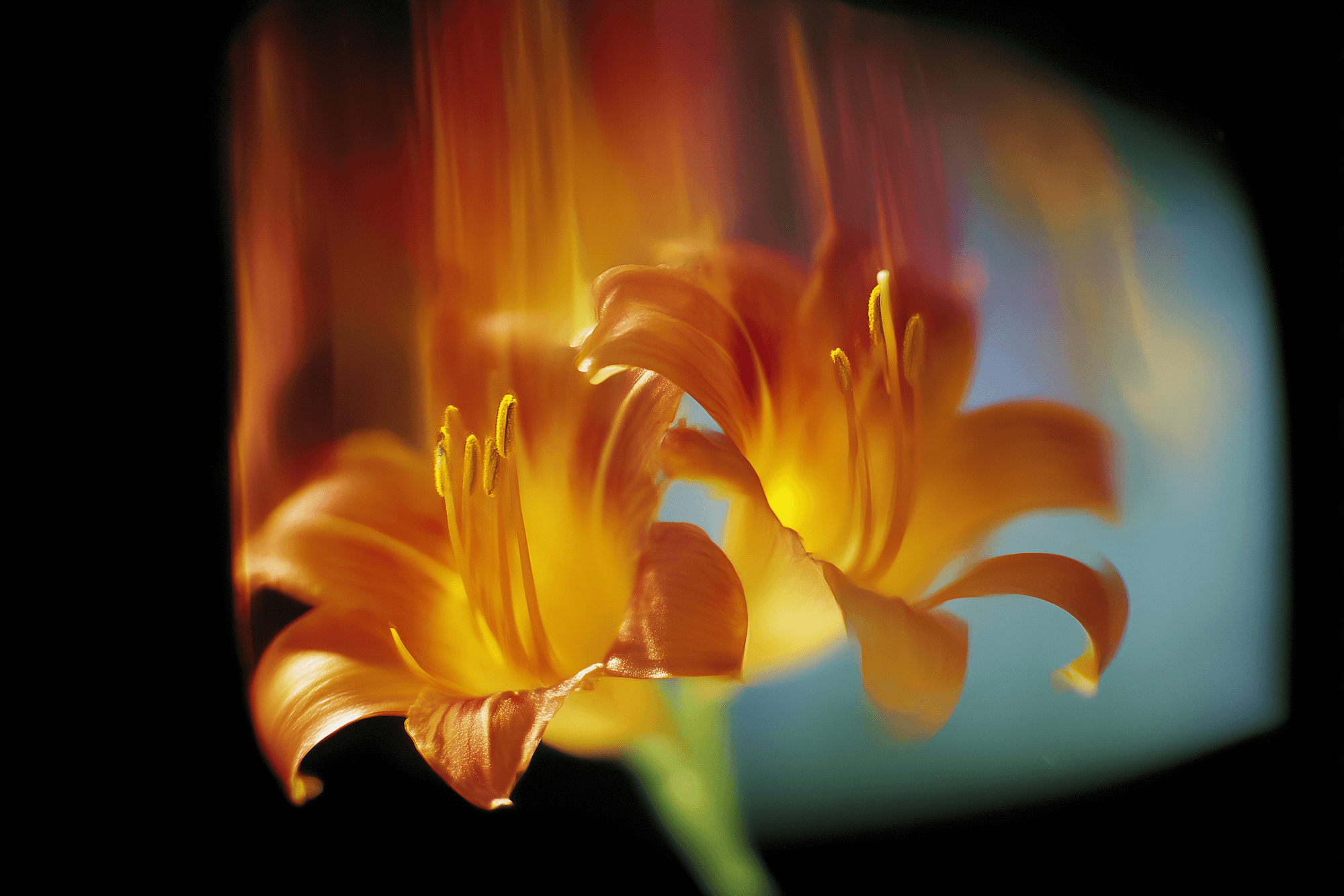 The Ultimate AI Image Prompting Guide: 68 Ready-to-Use Prompts